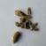鸡根，产地直供，质优价实，品质保证，药典标准道地良药