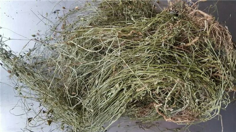 兰花参各种规格产地直供支持线上交易可搭配