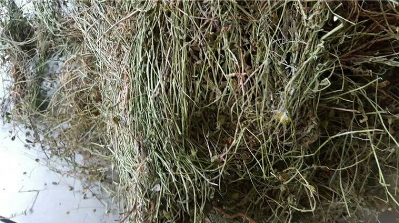 兰花参各种规格产地直供支持线上交易可搭配