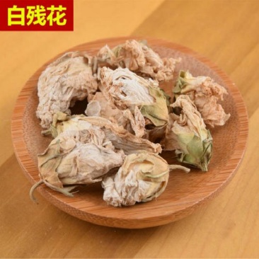 蔷薇花产地直供支持线上交易可搭配多品种采购