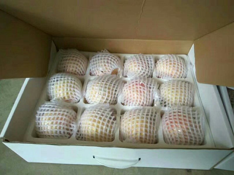临潼甜石榴