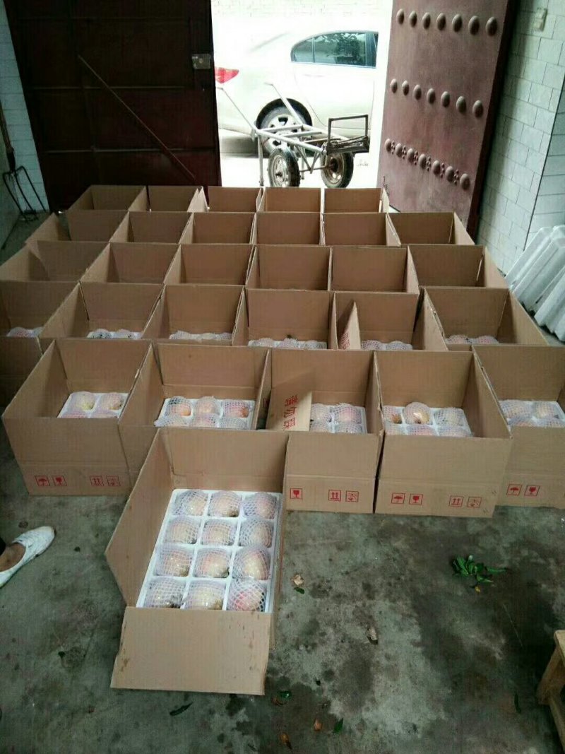 临潼甜石榴