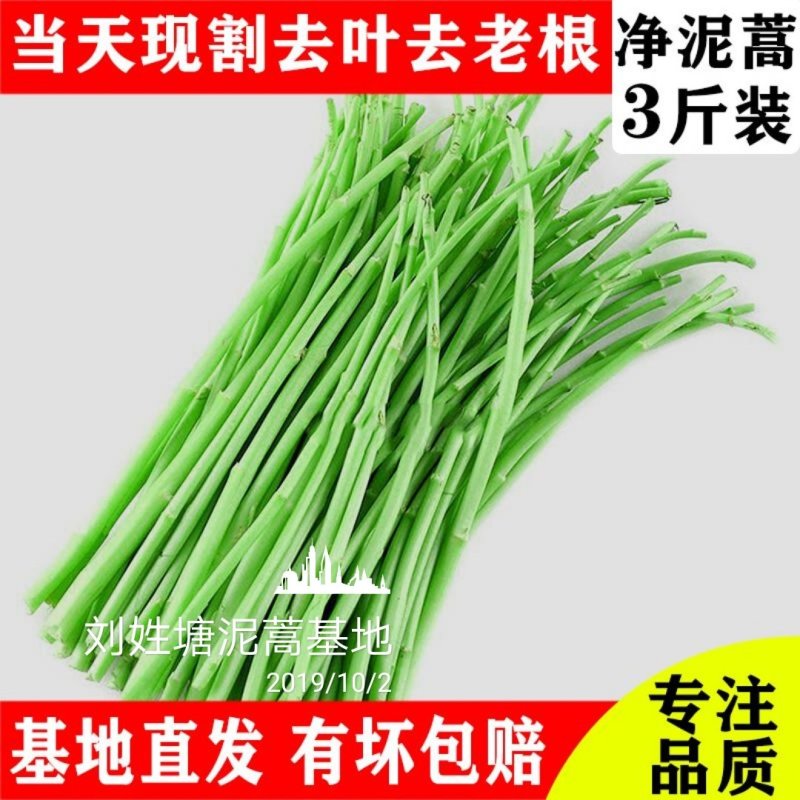刘姓塘泥蒿带叶芦蒿去老根蒿新鲜藜蒿野生湖北特产农家菜包邮