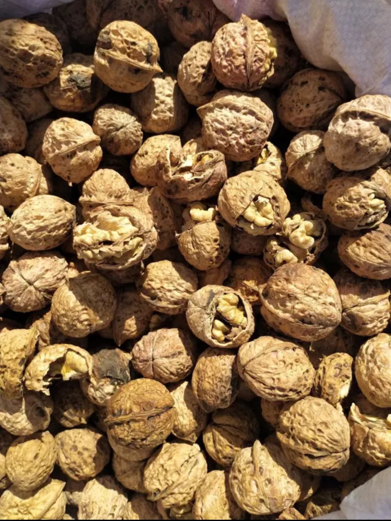 云南薄壳核桃