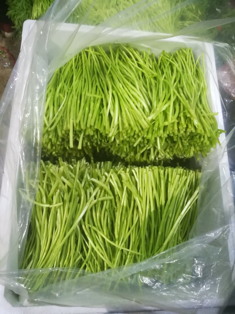 刘姓塘泥蒿带叶芦蒿去老根蒿新鲜藜蒿野生湖北特产农家菜包邮