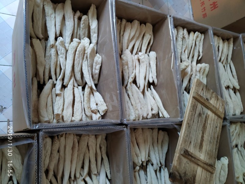 贵州竹笙竹荪大方冬荪竹荪无裙荪产地农户自产自销