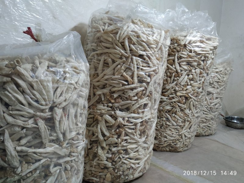 贵州竹笙竹荪大方冬荪竹荪无裙荪产地农户自产自销