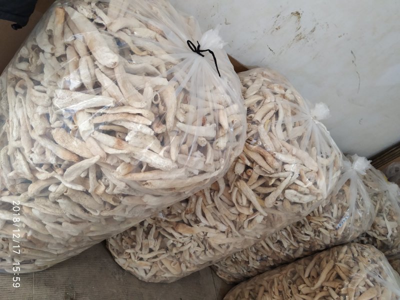 贵州竹笙竹荪大方冬荪竹荪无裙荪产地农户自产自销
