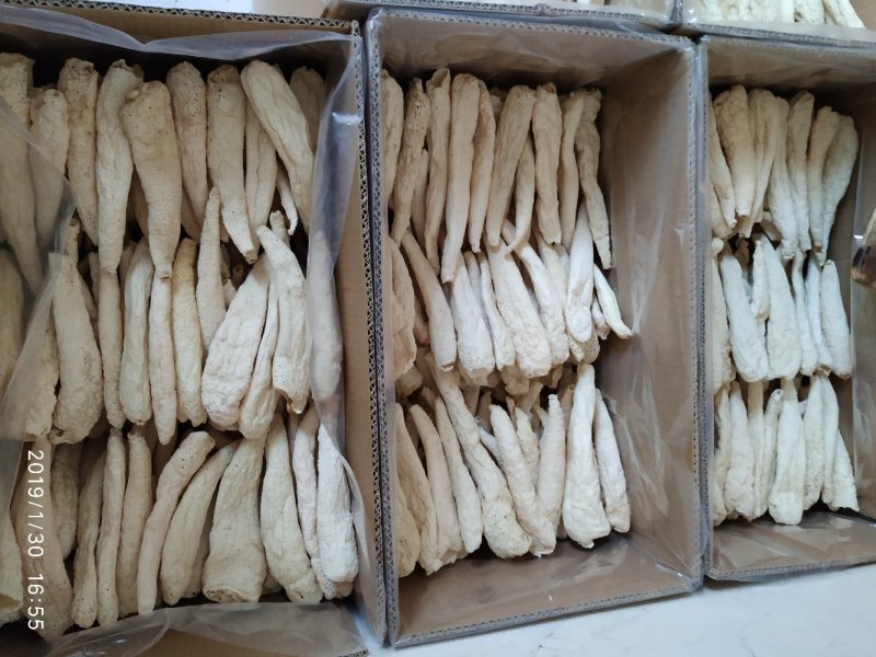 贵州竹笙竹荪大方冬荪竹荪无裙荪产地农户自产自销