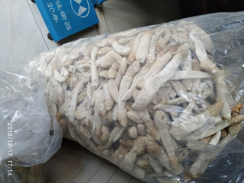 贵州竹笙竹荪大方冬荪竹荪无裙荪产地农户自产自销
