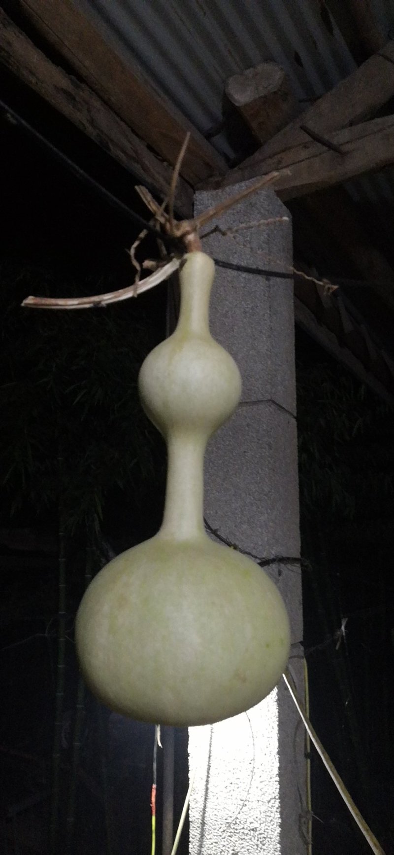 葫芦