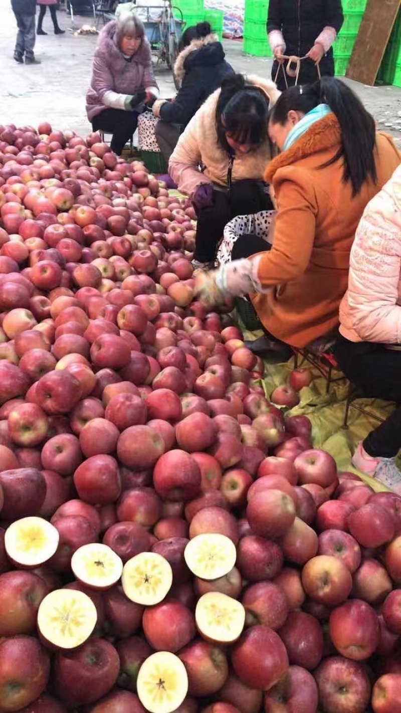 云南昭通冰糖心丑苹果欢迎朋友电话咨询我，口感很好