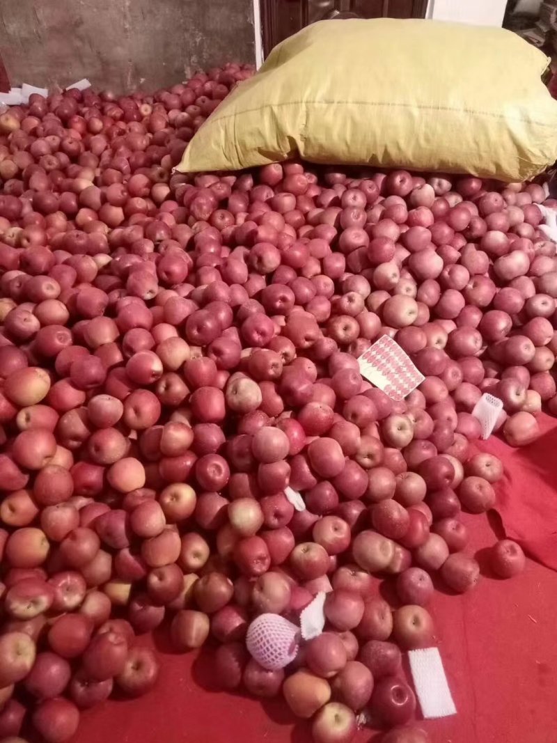 云南昭通冰糖心丑苹果欢迎朋友电话咨询我，口感很好