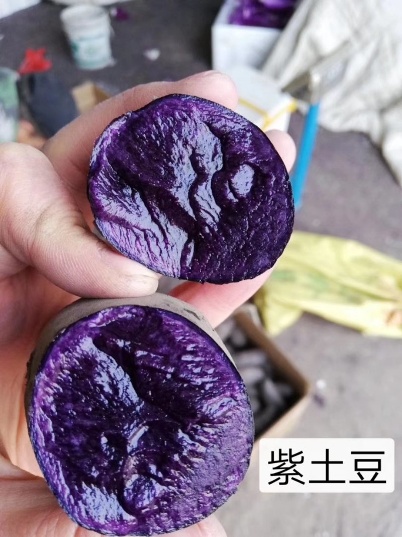 紫土豆