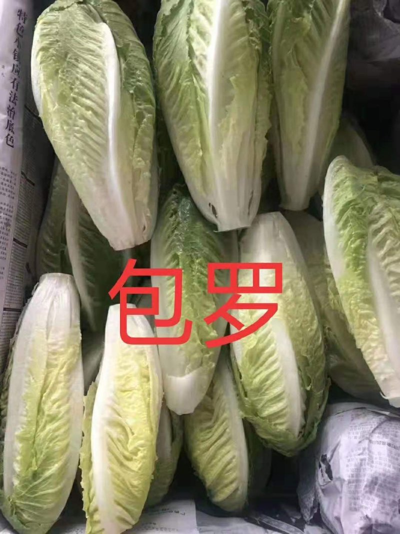 特菜