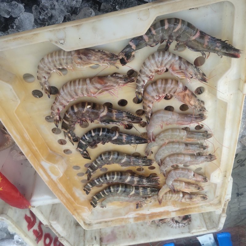海鲜一