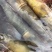 烟台渤海湾大对虾大小都有原浆不泡水