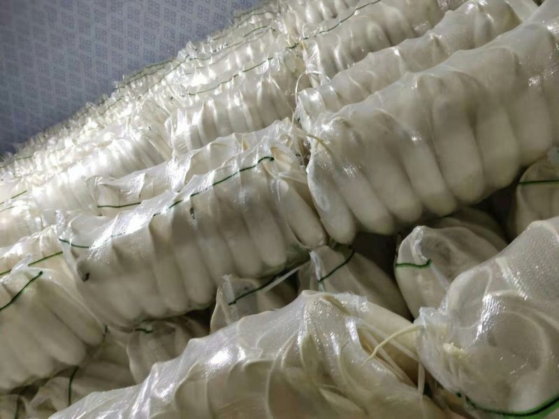 白萝卜散装，打包，大量供应现货，