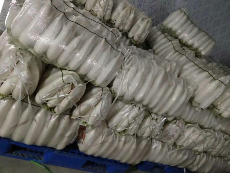 白萝卜散装，打包，大量供应现货，