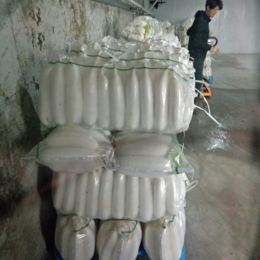 白萝卜散装，打包，大量供应现货，