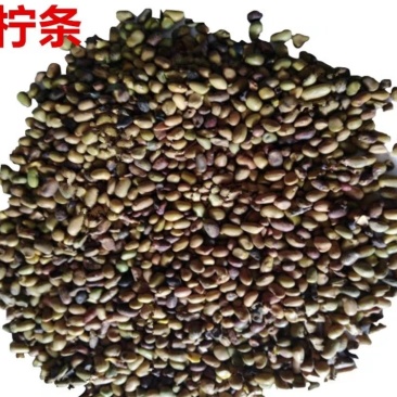 柠条籽,产地宁夏,质优价实,品质保证,药典标准道地良药