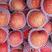 【红富士苹果】膜袋富士，新鲜采摘货源充足四季供应