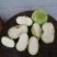 苤蓝，泰安肥城皮兰大量上市，质优价廉，货源充足
