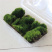 朵朵藓苔藓