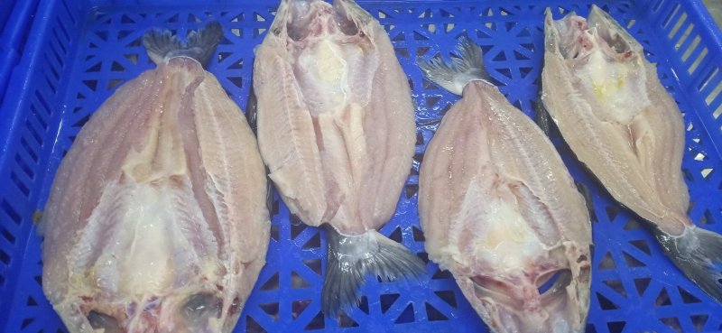 大量供应国内腌制开背巴沙鱼规格齐全！