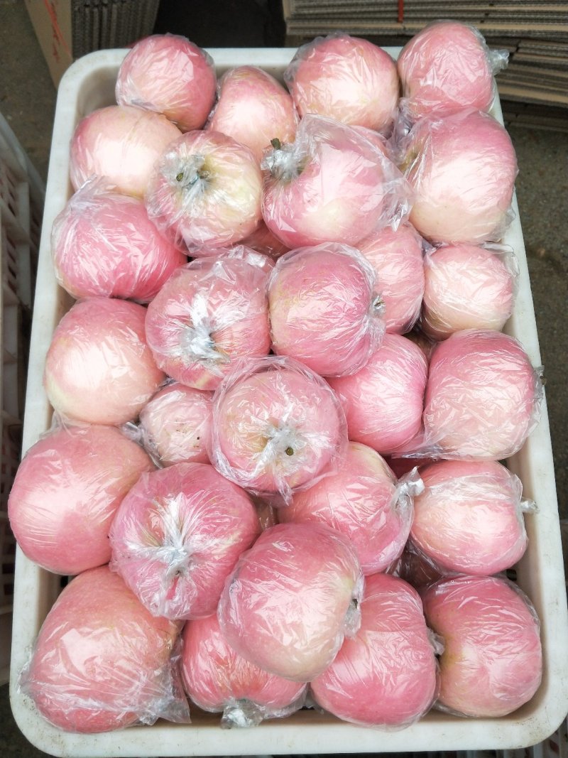 纸加膜红富士苹果无残次果【色泽鲜艳，口感脆甜】
