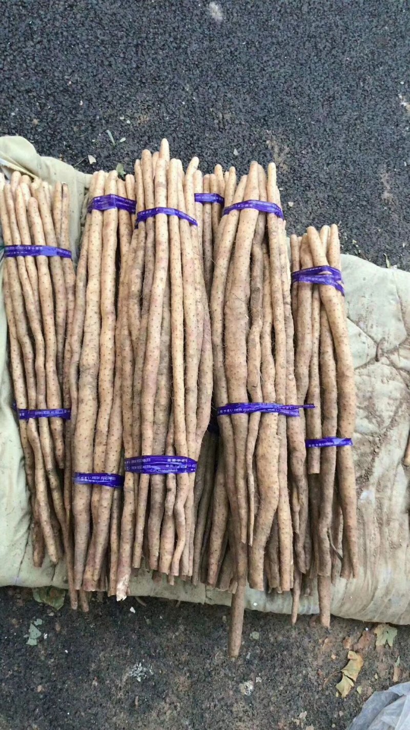 铁杆山药，11月份今年新货