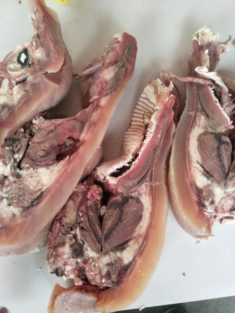 【有好货】熟去骨，牛头肉，去淋巴电商，超市，档口批发产品