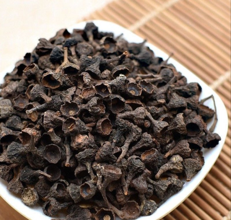 桂子，产地直供，质优价实，品质保证，药典标准道地良药