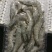 盐田虾海水虾经济实惠价格不贵，吃好回头客高