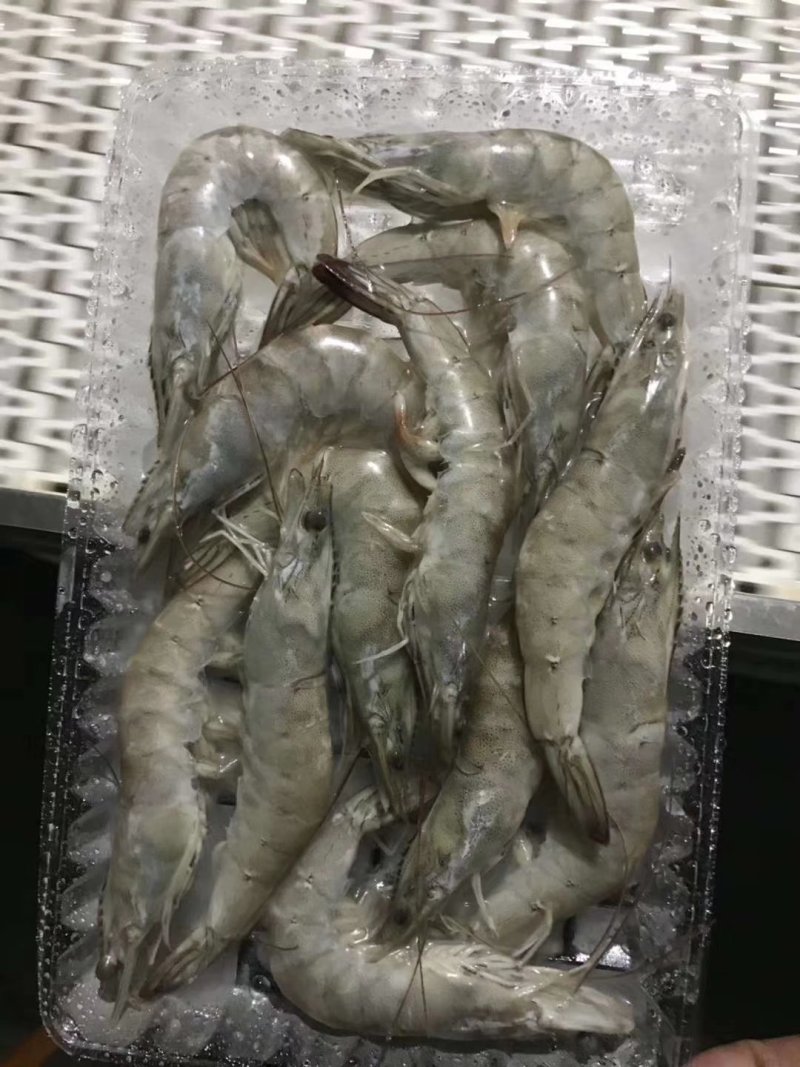 盐田虾海水虾经济实惠价格不贵，吃好回头客高