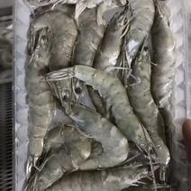 盐田虾海水虾经济实惠价格不贵，吃好回头客高