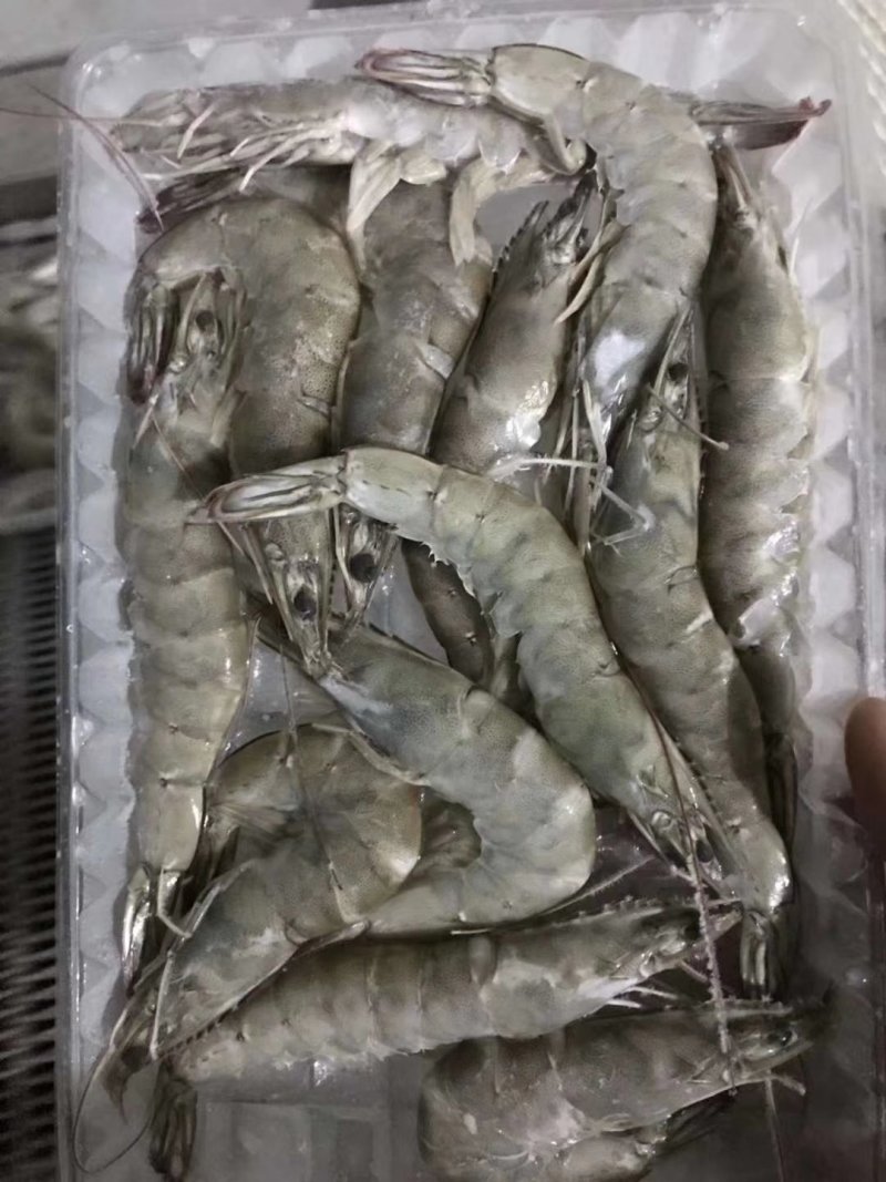 盐田虾海水虾经济实惠价格不贵，吃好回头客高