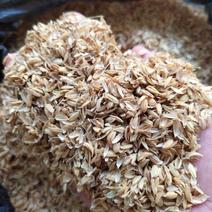 现货供应除尘稻壳粉动物饲料添加用的稻壳粉