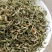 甜瓜蒂，产地直供，质优价实，品质保证，药典标准道地良药