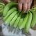 【质量保障】常年批发国产香蕉口感好不硬心可全国配货
