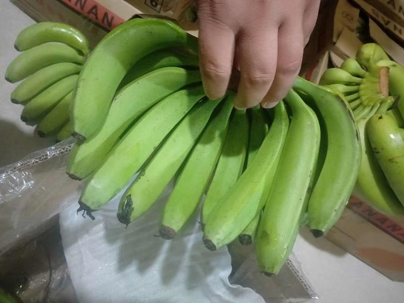 【质量保障】常年批发国产香蕉口感好不硬心可全国配货