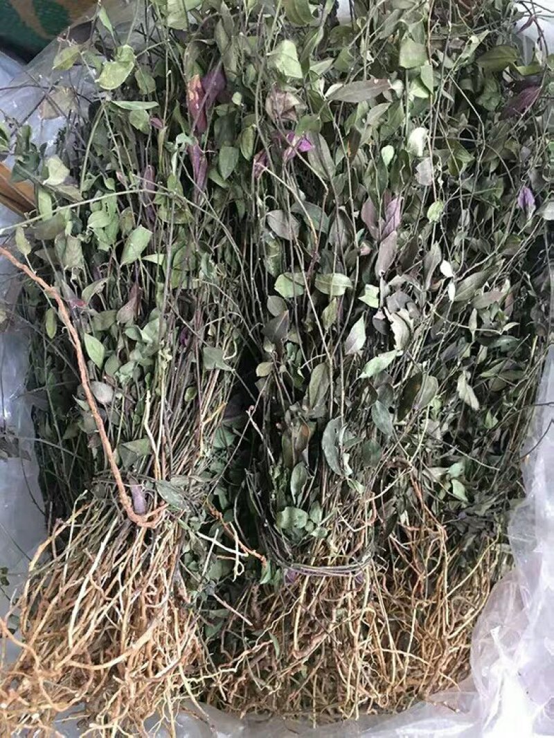 瓜子金产地直供支持线上交易可搭配多品种采购
