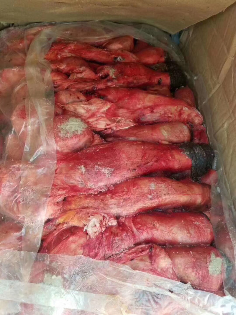 【驴鞭】带宝鞭光杆鞭现货质量好带宝鞭现货