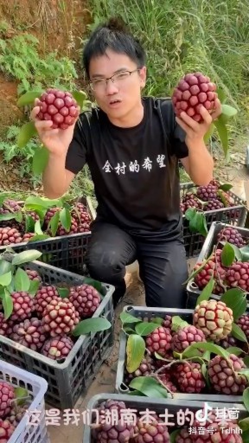 布福娜
