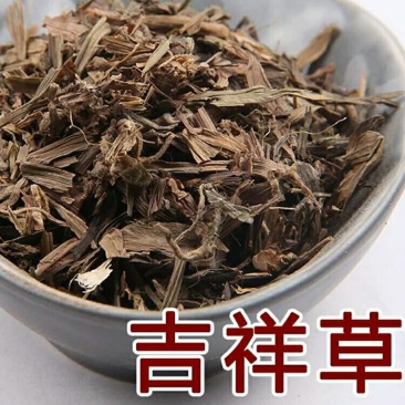 吉祥草产地直供支持线上交易可搭配多品种采购大货联系