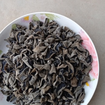精选新货东北黑木耳敢比质量和价格对接电商地摊质忧价优诚信