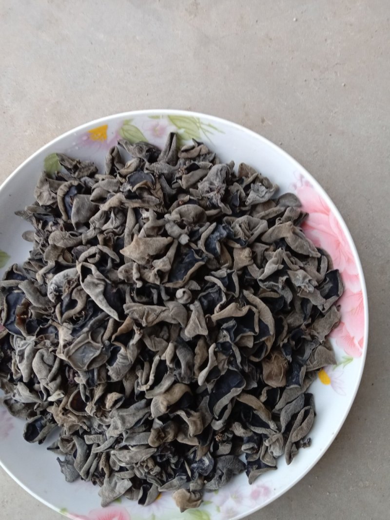 精选新货东北黑木耳敢比质量和价格对接电商地摊质忧价优诚信