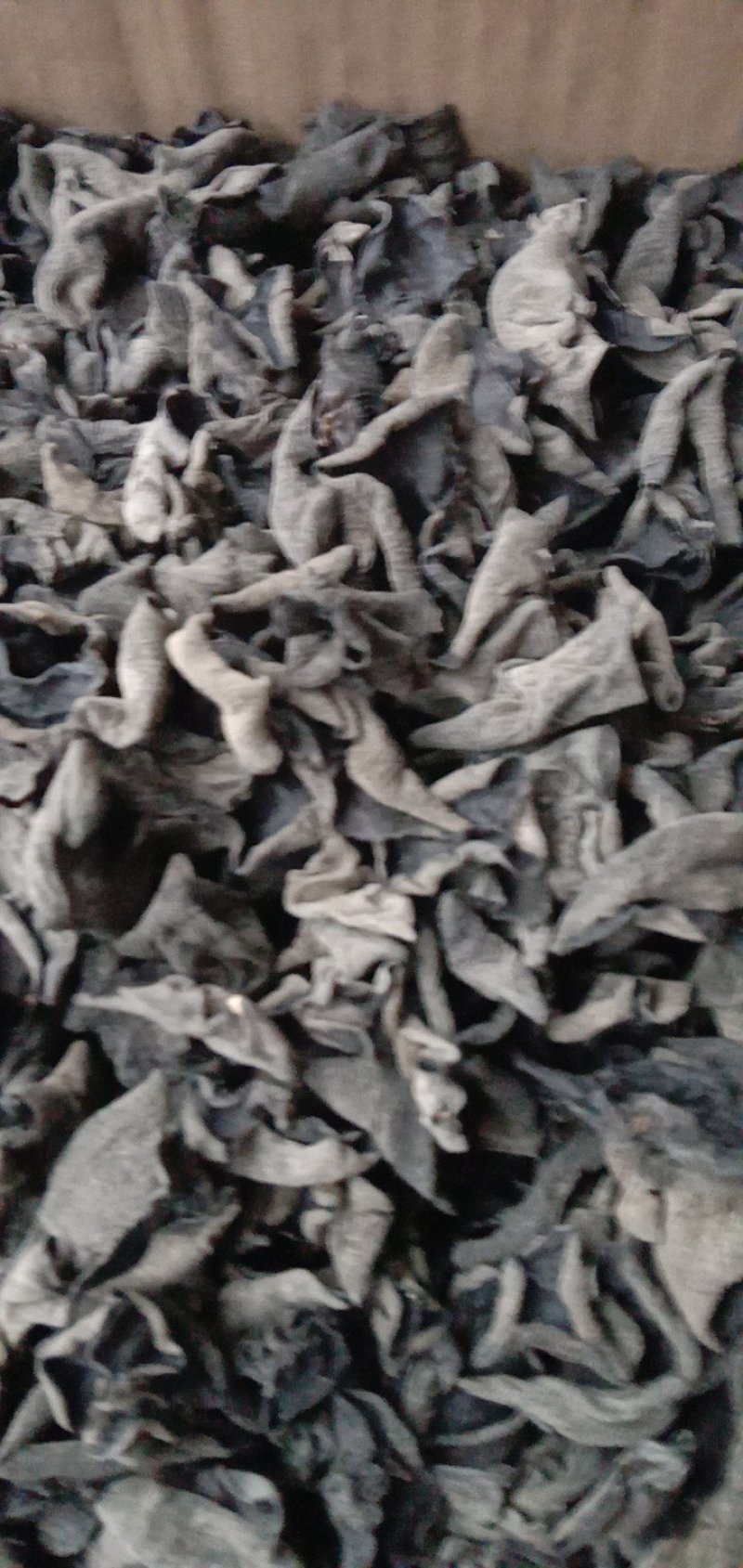 康惠商行东北黑木耳一级秋耳肉厚无根