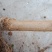 青脆李子苗一手货源，自产自销包品种量大从优，