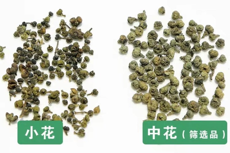 吴茱萸中药材吴茱萸无硫无添加经营各种规格中药材